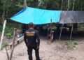 PF intensifica fiscalizao para combater crimes ambientais em Rondnia