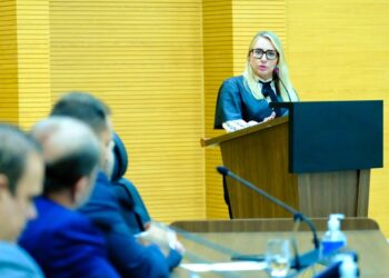 Ieda Chaves solicita melhorias na infraestrutura viária na RO-267, em Castanheiras