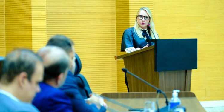 Ieda Chaves solicita melhorias na infraestrutura viária na RO-267, em Castanheiras