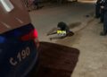 URGENTE: Homem é algemado e espancado por criminosos na zona leste