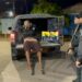 RESISTIU: BPTAR recebe denúncia e prende homem armado em lanchonete na zona leste