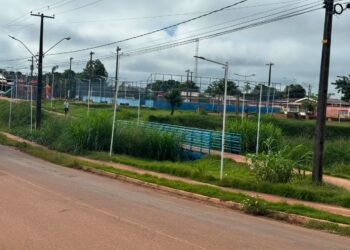 O vereador Edimilson Dourado (União Brasil) solicitou, nesta semana, a limpeza e revitalização do Ecoparque Pirarucu