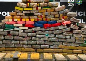 Polícia Civil apreende quase 300kg de drogas em RO