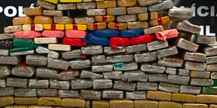 Polícia Civil apreende quase 300kg de drogas em RO