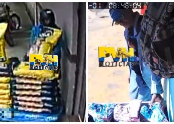 VÍDEO: Ladrão de calcinha é filmado furtando saca de ração na zona sul