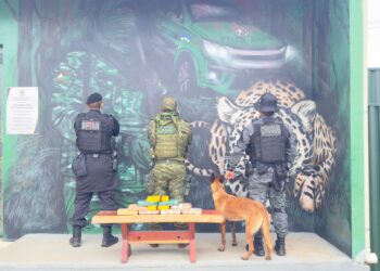 FRONTEIRA SEGURA: PM apreende 10kg de drogas escondidas em veículo na BR-425