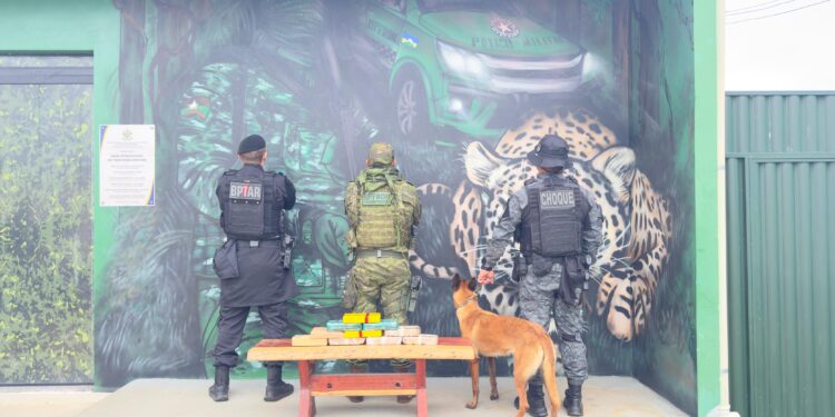 FRONTEIRA SEGURA: PM apreende 10kg de drogas escondidas em veículo na BR-425