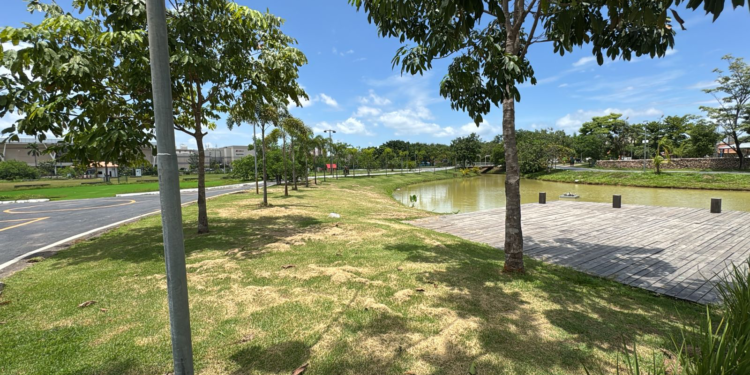 Parque da Cidade será reaberto com muitas novidades neste sábado