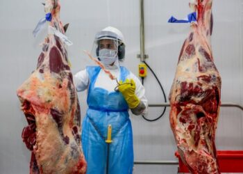 OPORTUNIDADE: Plataforma Geração Emprego do governo de RO apresenta mais de 2 mil vagas de emprego com destaque ao setor frigorífico