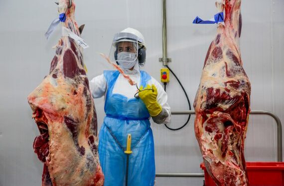 OPORTUNIDADE: Plataforma Geração Emprego do governo de RO apresenta mais de 2 mil vagas de emprego com destaque ao setor frigorífico