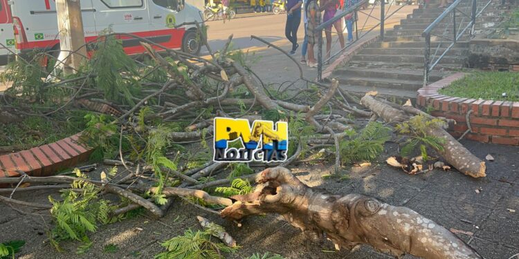 URGENTE: Idosa é atingida por galhos de árvore na praça do Baú