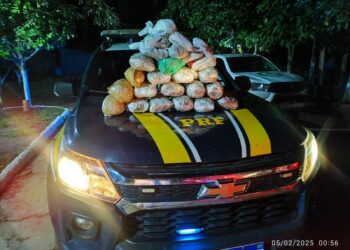 PRF realiza apreensão de maconha em Guajará-Mirim/RO