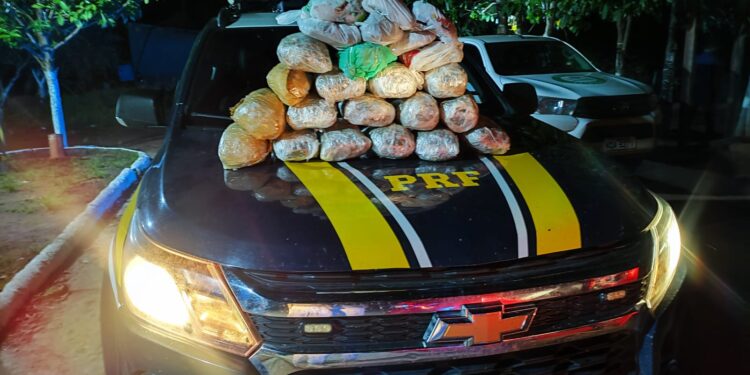 PRF realiza apreensão de maconha em Guajará-Mirim/RO