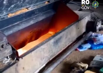 VÍDEO: Polícia Civil incinera 170kg de drogas em Vilhena