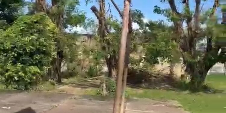 Presidente Alex Redano cobra limpeza e manutenção da escola governador Jesus Burlamaqui em Escola de Porto Velho