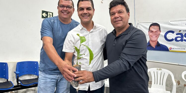 Deputado Cássio Gois entrega 165 mil mudas de café em Ministro Andreazza e beneficia mais de 60 produtores rurais