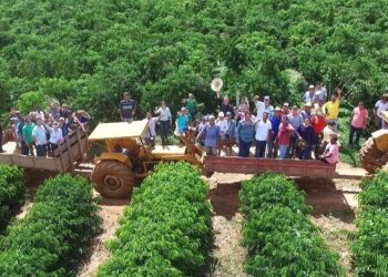 Deputado Luizinho Goebel homenageia agricultores de Rondônia no Dia Mundial da Agricultura