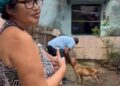 Equipe da deputada estadual Ieda Chaves resgata dois animais vítimas de maus-tratos no mesmo dia