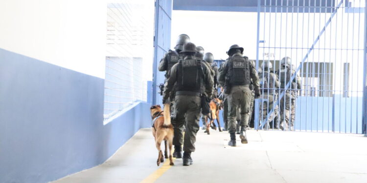 SEGURANÇA PRISIONAL:  Governo de RO integra sétima fase da “Operação Mute” e intensifica segurança nas unidades prisionais