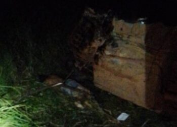 URGENTE: Acidente entre caminhão e carro de passeio deixa um morto na BR-364