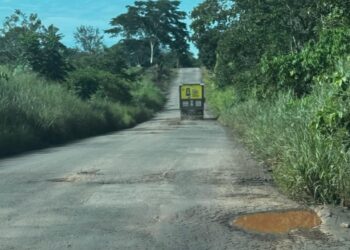 Alex Redano solicita recuperação da RO-490 entre Santa Luzia D’Oeste e Alto Alegre dos Parecis