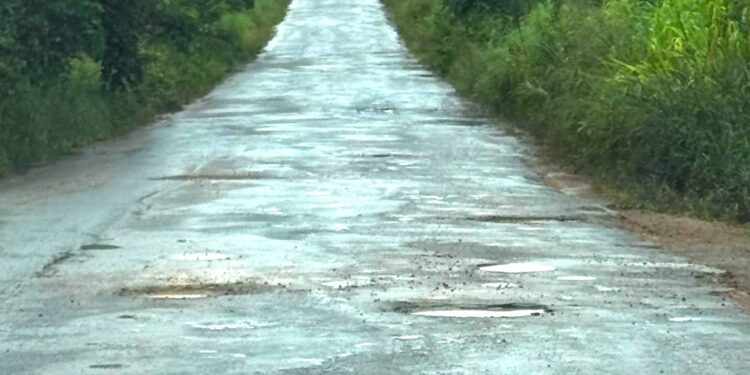 Presidente Alex Redano cobra urgência na recuperação da RO-133 entre Theobroma e Vale do Anari