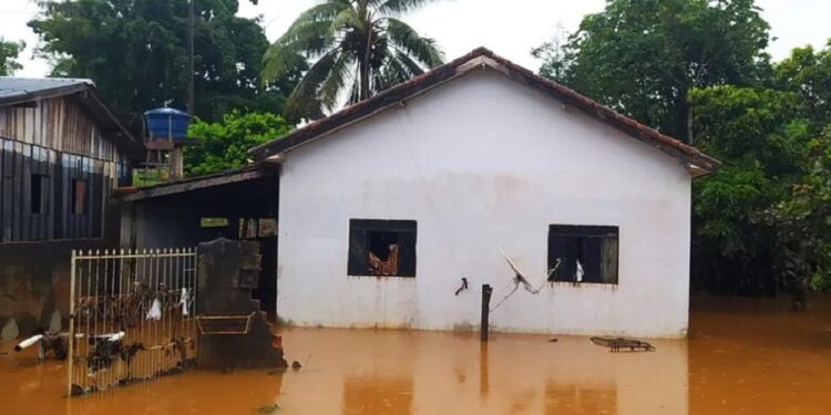 Presidente Alex Redano, solicita distribuição de cestas básicas para famílias atingidas por enchentes em Ouro Preto D’Oeste