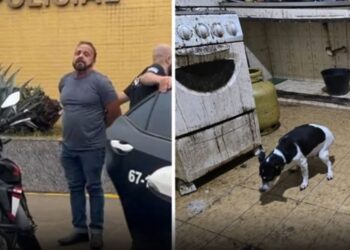 CRUELDADE: Polícia encontra cães congelados em freezer e médico é preso
