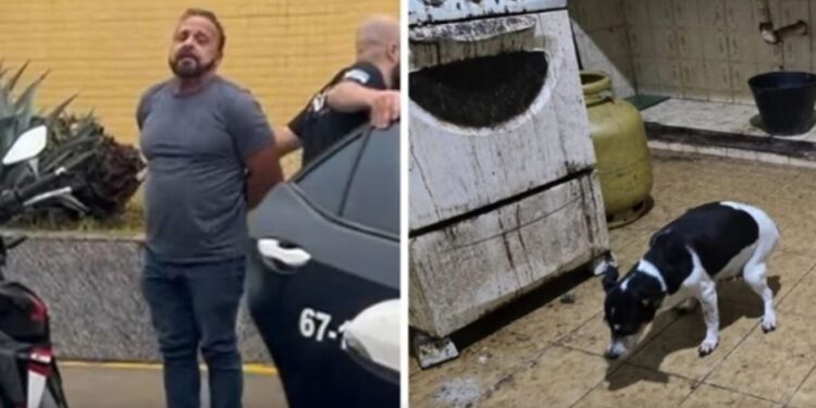 CRUELDADE: Polícia encontra cães congelados em freezer e médico é preso