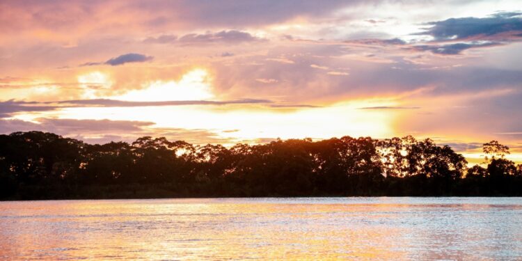 DADOS DA CHEIA: Rio Madeira registra 16,60 metros e se aproxima da cota de inundação
