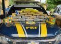 TRÁFICO: PRF prende casal transportando 15kg de drogas em ônibus na BR-425
