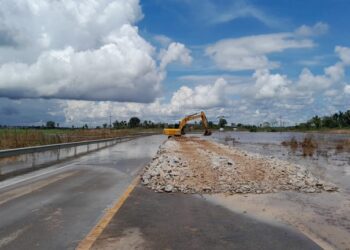 Após nova cheia do rio Madeira, deputado Alan Queiroz cobra elevação urgente da BR-425 para evitar novo colapso logístico em RO