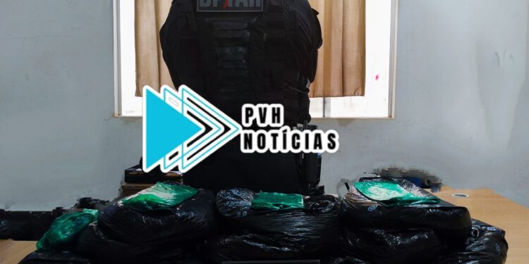 FRONTEIRA SEGURA: Motorista de caminhão boiadeiro é preso transportando mais de 5kg de folha de coca em RO