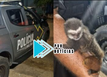 AÇÃO DO BPTAR: PM fecha boca de fumo e bando que mantinha macaco em cativeiro é preso com drogas