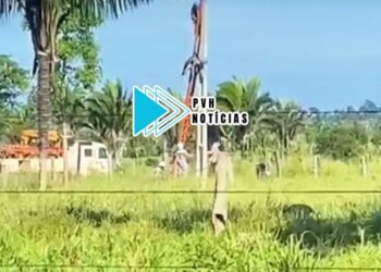 ALTA TENSÃO: Trabalhador morre eletrocutado durante manutenção em rede elétrica pela Energisa