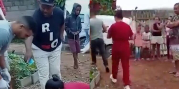 Adolescente dá à luz escondida e avó entrega bebê para ser devorado por cachorros; veja vídeo