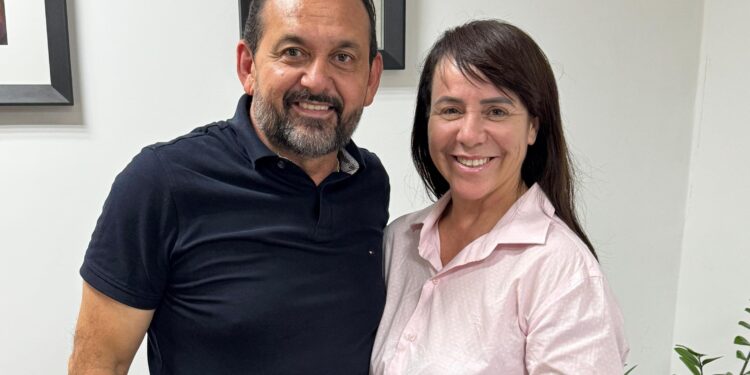 Deputado Laerte Gomes aponta necessidade de recapeamento da RO-010 entre Nova Brasilândia e Rolim de Moura