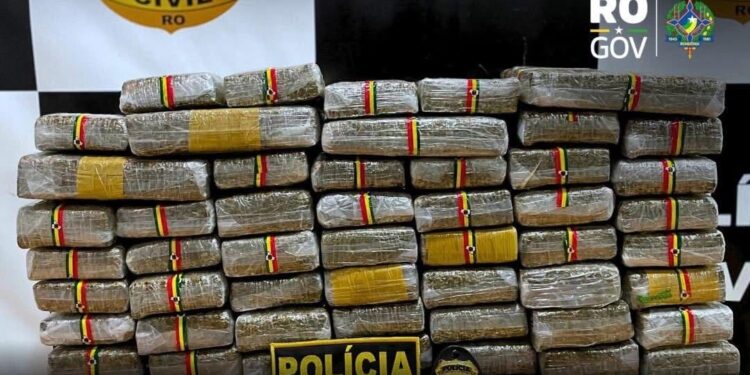 TRÁFICO: Polícia Civil prende quadrilha com mais de 60kg de drogas em RO
