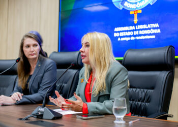 Ieda Chaves assina requerimento que exige planos estaduais contra violência à mulher