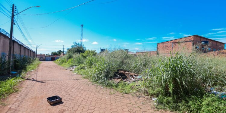 CIDADE LIMPA: Prefeito Léo Moraes encaminha projeto de lei para multar quem jogar lixo em Porto Velho