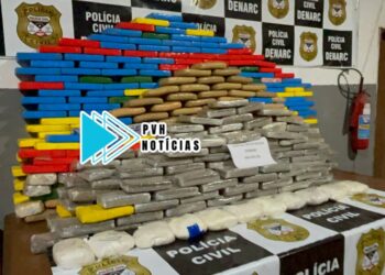 PREJUÍZO AO TRÁFICO: Denarc apreende mais de meia tonelada de drogas na zona sul