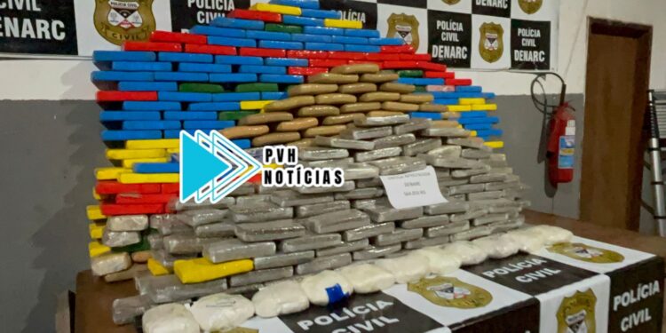 PREJUÍZO AO TRÁFICO: Denarc apreende mais de meia tonelada de drogas na zona sul