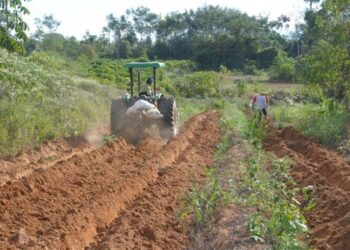 Deputado Alan Queiroz destina R$ 52 mil para aquisição de implementos agrícolas em Theobroma