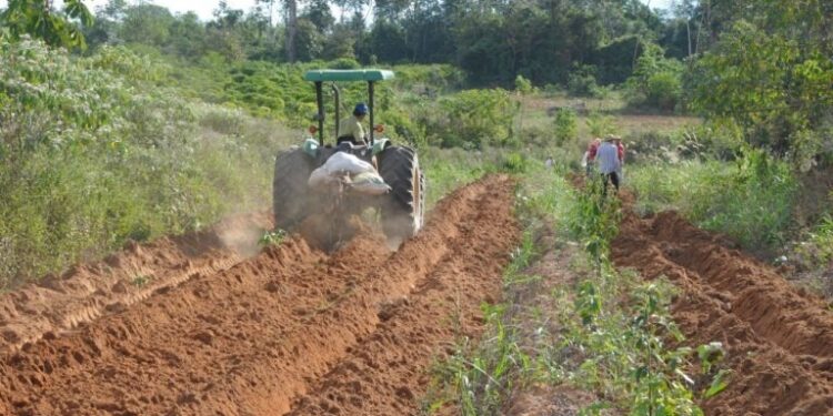 Deputado Alan Queiroz destina R$ 52 mil para aquisição de implementos agrícolas em Theobroma