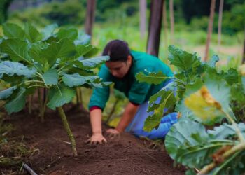Deputado Alan Queiroz destina R$ 90 mil para aquisição de implementos agrícolas aos produtores rurais de Porto Velho