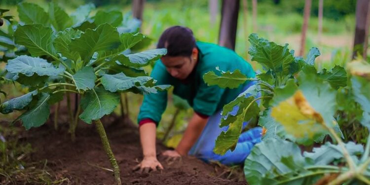 Deputado Alan Queiroz destina R$ 90 mil para aquisição de implementos agrícolas aos produtores rurais de Porto Velho