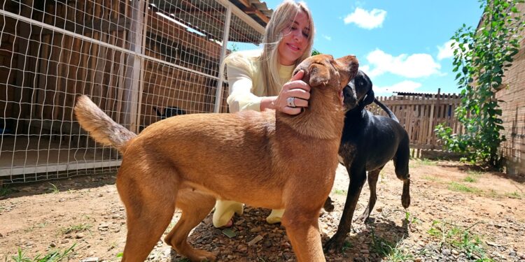 Ieda Chaves é autora da Lei que proíbe o confinamento, acorrentamento e alojamento inadequado de pets