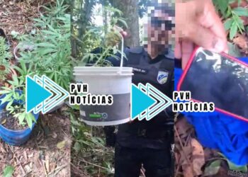 URGENTE: PM recupera celulares roubados de funcionários da Sedam e descobrem plantão de maconha em condomínio