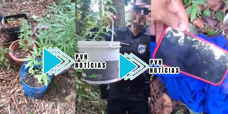 URGENTE: PM recupera celulares roubados de funcionários da Sedam e descobrem plantão de maconha em condomínio