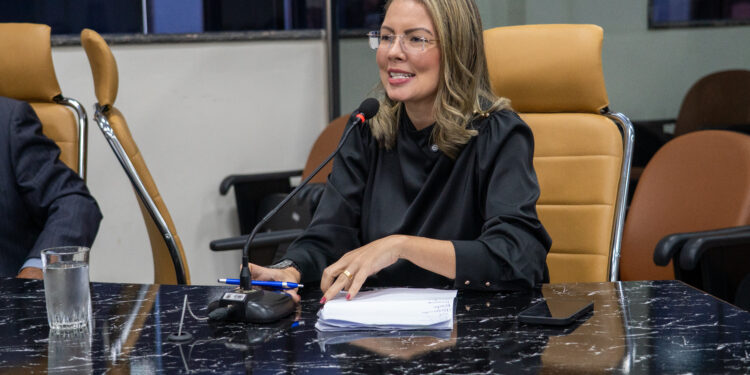 Vereadora Sofia Andrade declara apoio à manifestação na BR-364 em defesa do setor produtivo rural